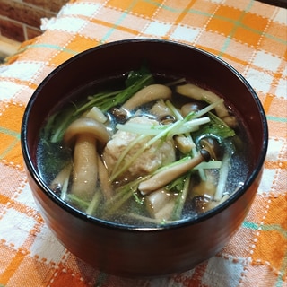 アウトドアで♡水菜としめじの鶏だんごスープ